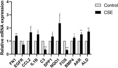 Screening and Identification of Hub Genes in the Corticosteroid Resistance Network in Human Airway Epithelial Cells via Microarray Analysis